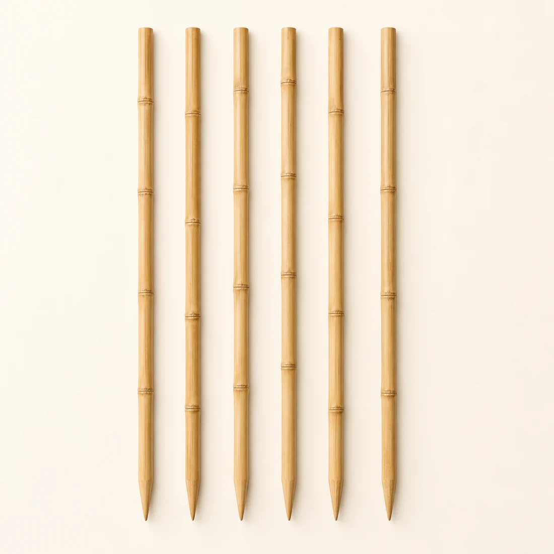Bamboo plant supports